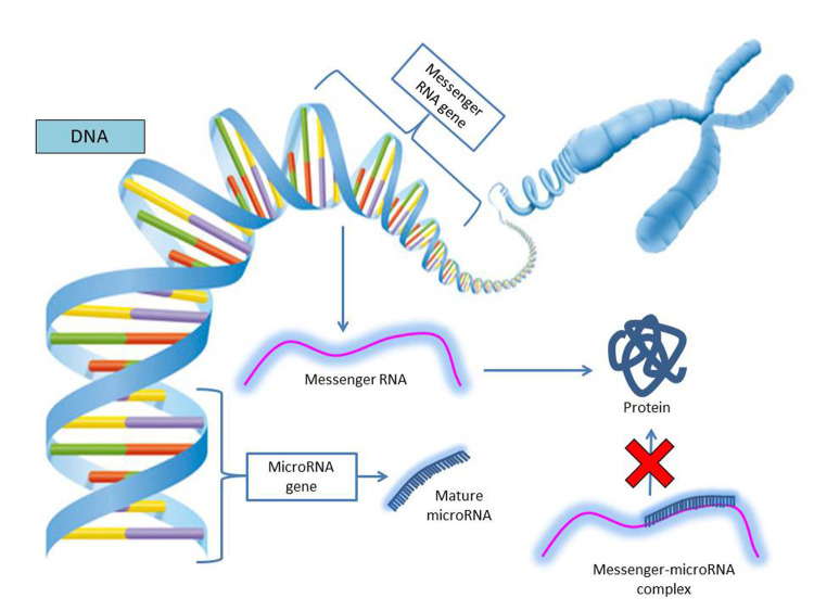 Figure 4