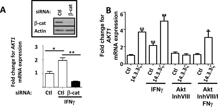 FIGURE 5: