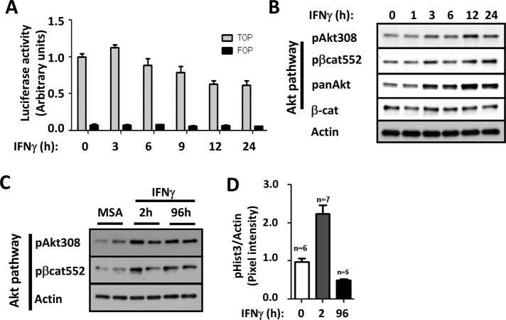 FIGURE 1: