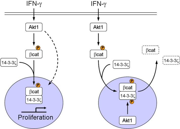 FIGURE 6: