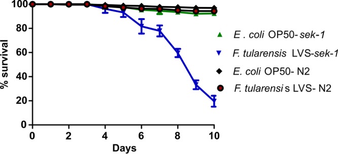 FIG 1