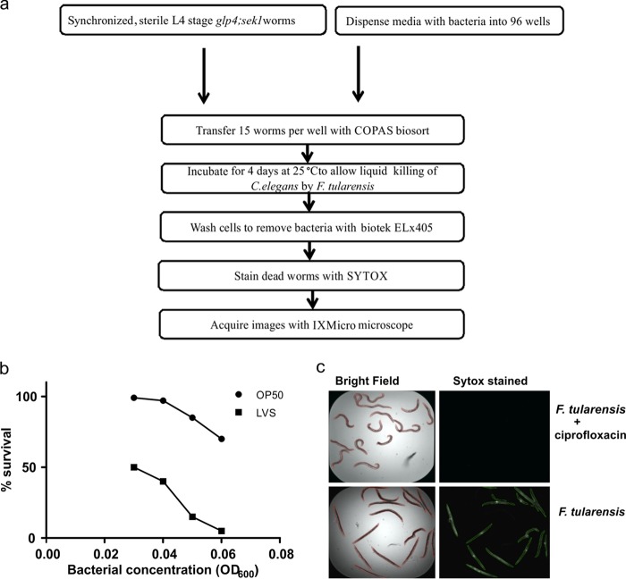 FIG 2