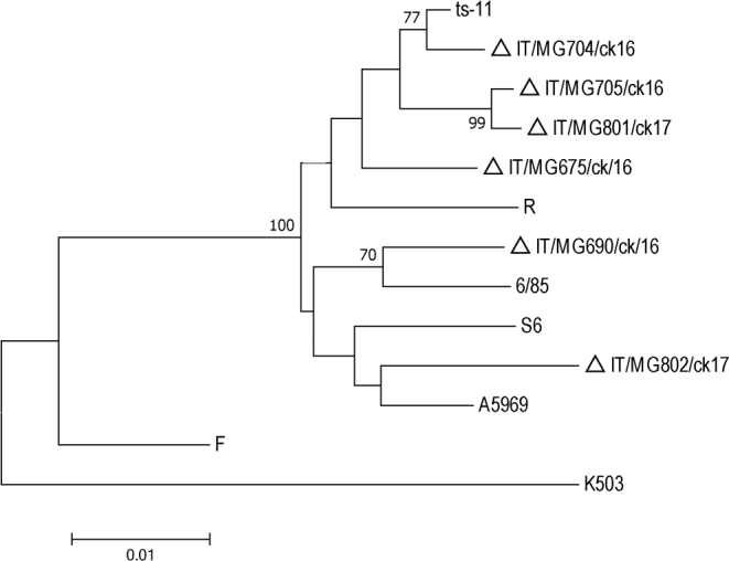 Figure 4