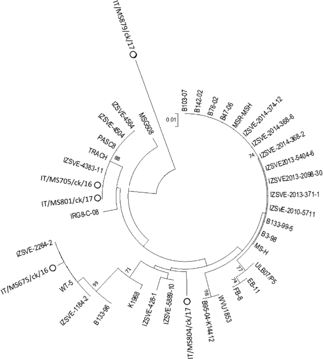 Figure 3