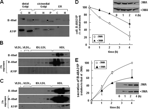 FIGURE 4.