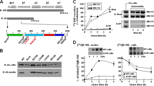 FIGURE 1.