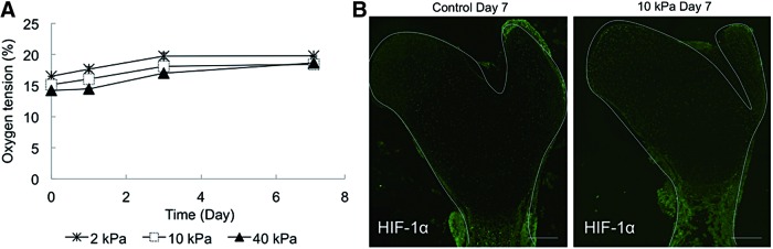 FIG. 7.