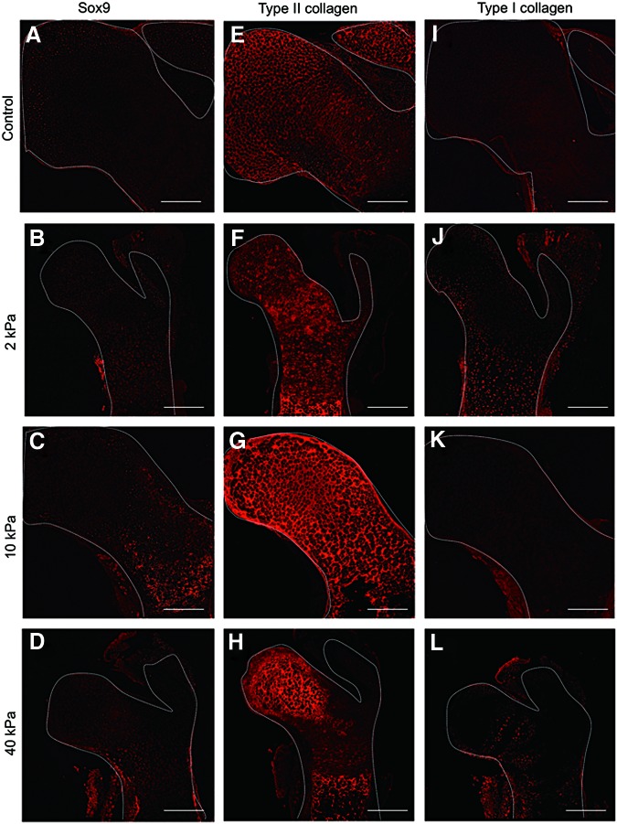 FIG. 5.