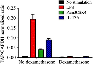 Figure 4