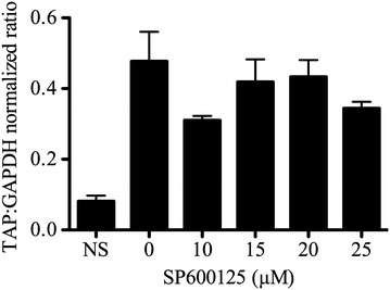 Figure 3