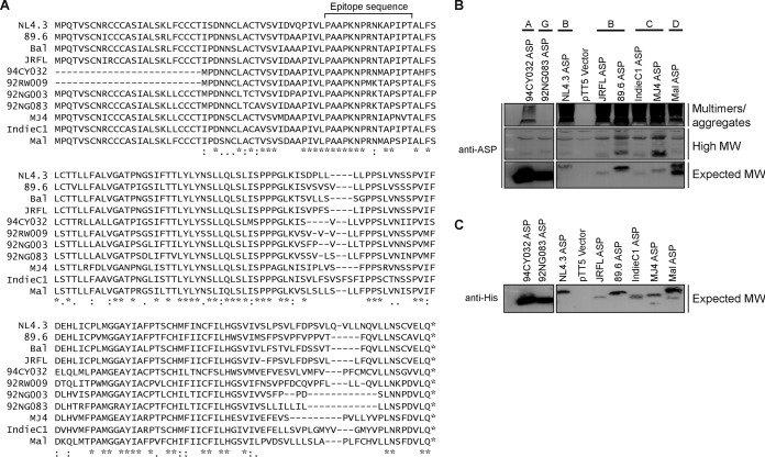 FIG 4