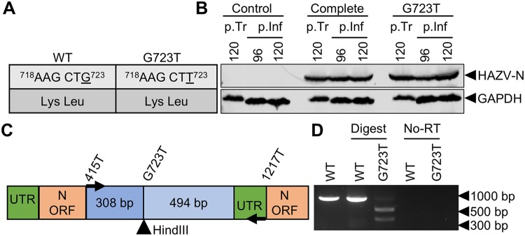 FIG 4