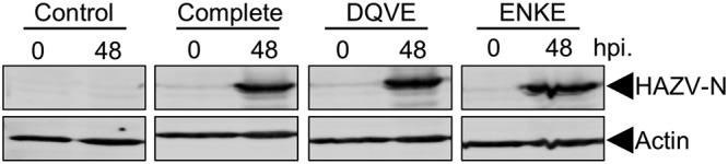 FIG 6