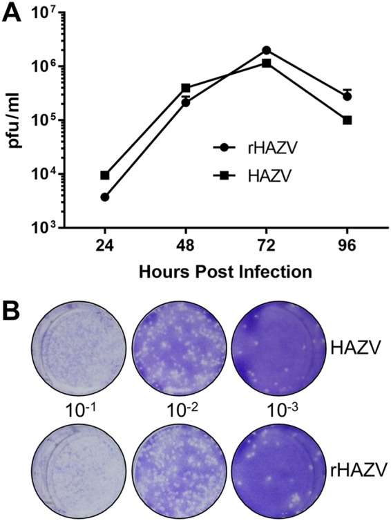 FIG 3