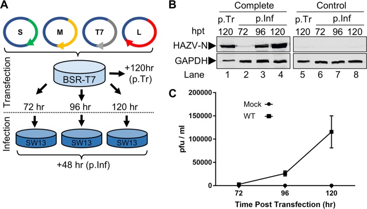 FIG 2