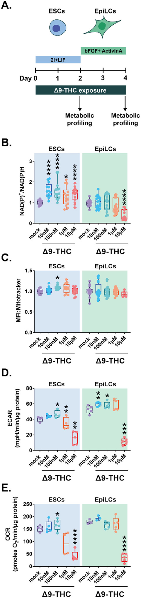 Figure 3: