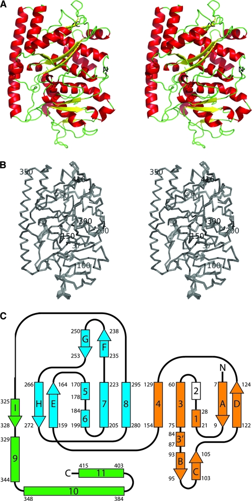 FIG. 1.