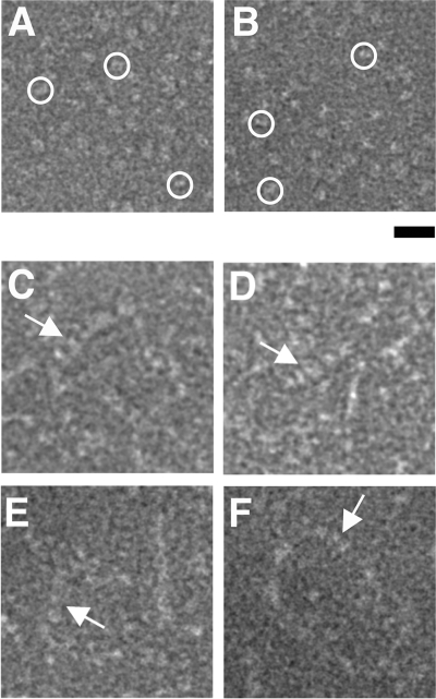 FIG. 5.