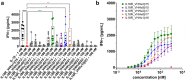 (A) Bispecific IL-18 surrogate agonists trigger IFN-γ production on PBMCs of multiple donors at a fixed concentration of 100 nM. (B) Selected bispecific IL-18 mimetics elicit a dose-dependent IFN-γ on PBMCs of multiple healthy donors with varying potencies.