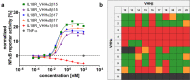 (A) Concentration-dependent activation of HEK-Blue™ reporter cells by bispecific sdAb-based cytokine mimetics. (B) Heatmap of NFκB reporter activitation elicited by bispecifc IL-18 mimetics showing multiple receptor agonist colored in green, minimally active mimetics in yellow, inactive entities in red as well as molecules with inadequate expression yields or purities in grey.
