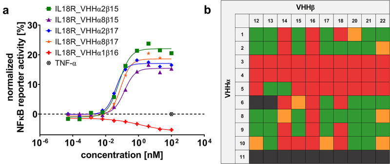 (A) Concentration-dependent activation of HEK-Blue™ reporter cells by bispecific sdAb-based cytokine mimetics. (B) Heatmap of NFκB reporter activitation elicited by bispecifc IL-18 mimetics showing multiple receptor agonist colored in green, minimally active mimetics in yellow, inactive entities in red as well as molecules with inadequate expression yields or purities in grey.