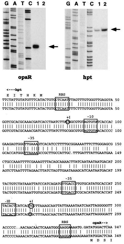 FIG. 7