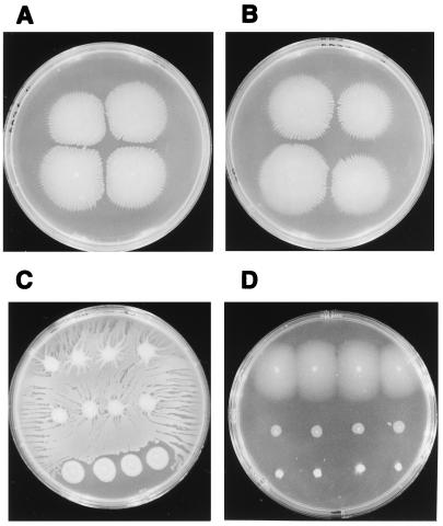 FIG. 3