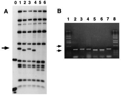 FIG. 8