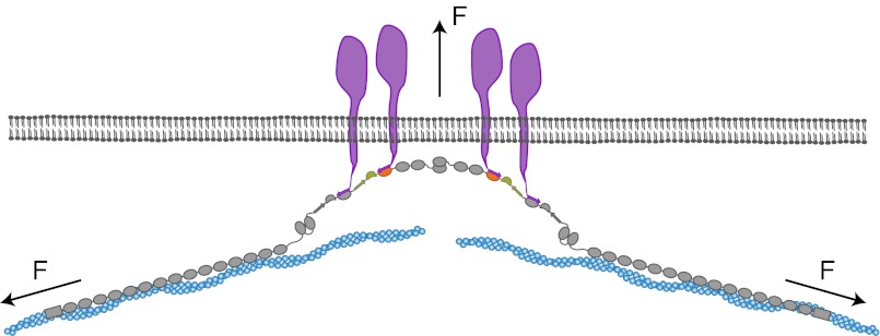 Fig. 5.