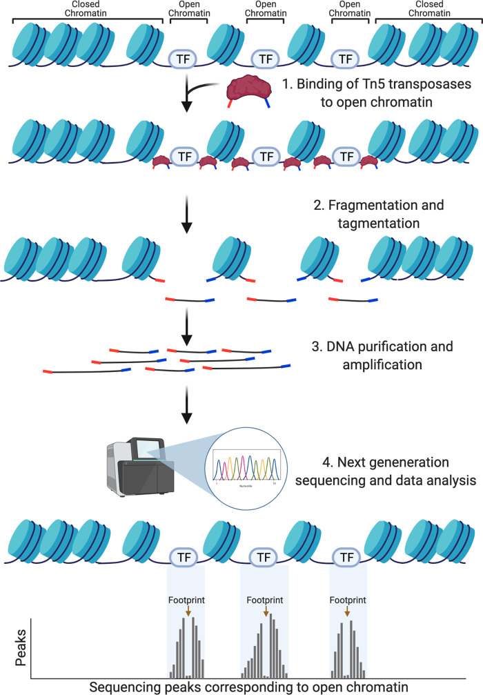 Figure 1.