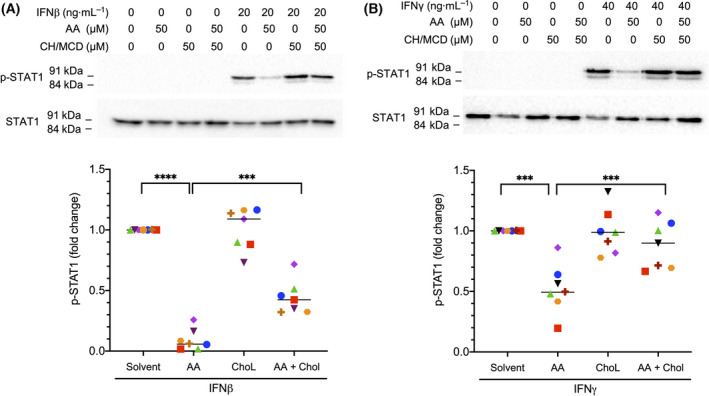 Fig. 10