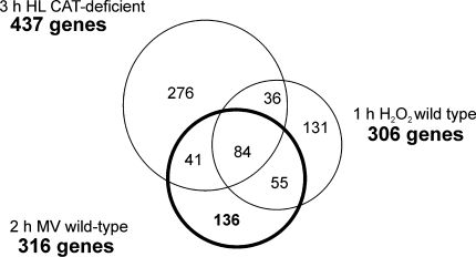 Fig. 7