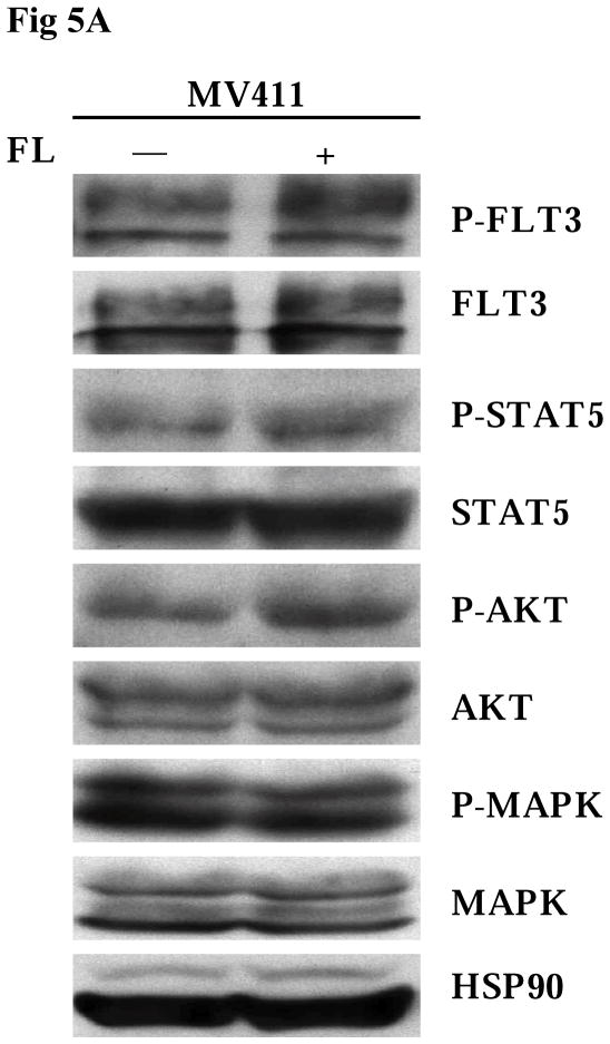 Fig 5