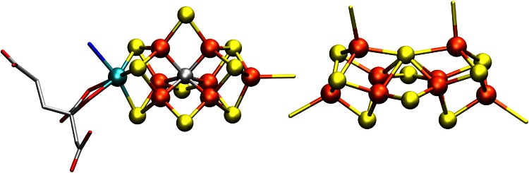 Fig. 1