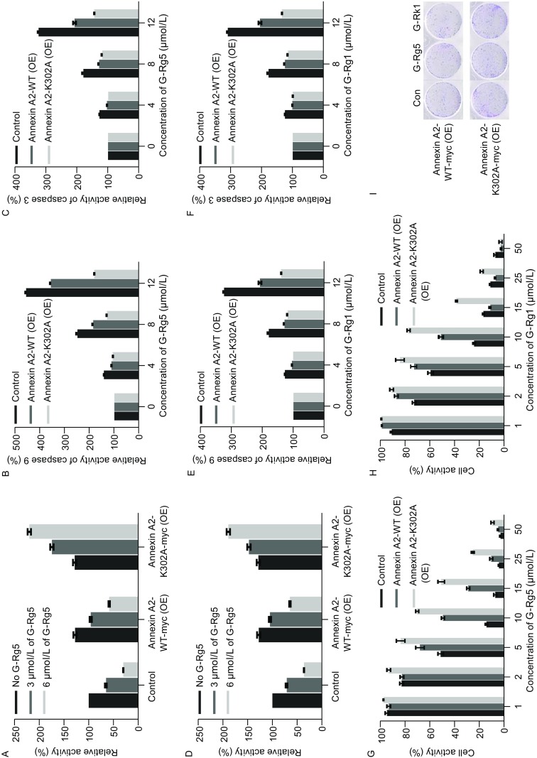 Figure 6