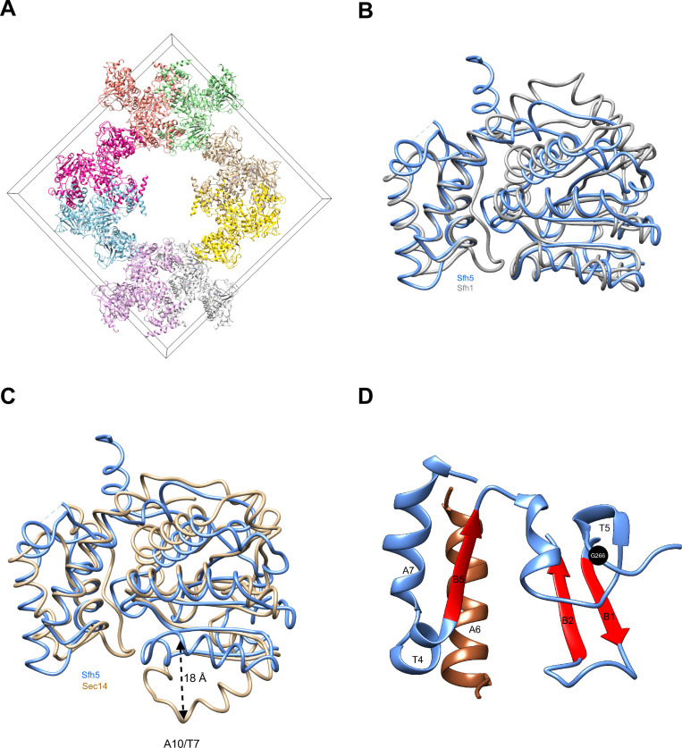 Figure 2—figure supplement 1.