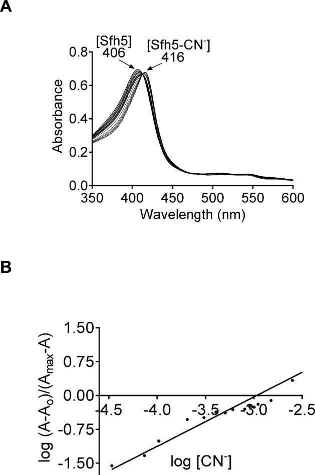 Figure 5—figure supplement 1.