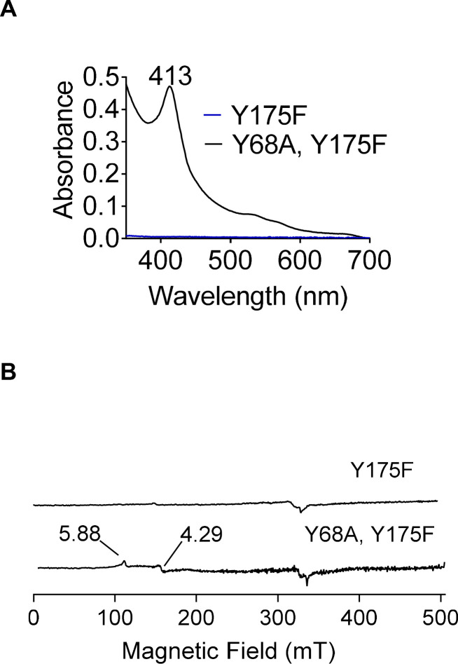 Figure 7—figure supplement 1.