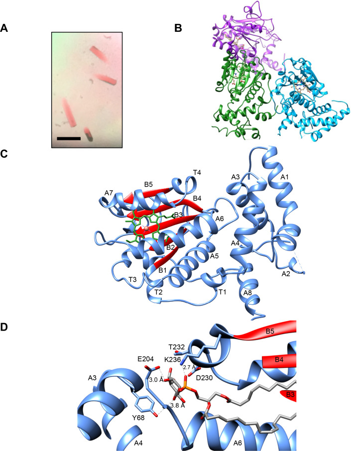 Figure 2.