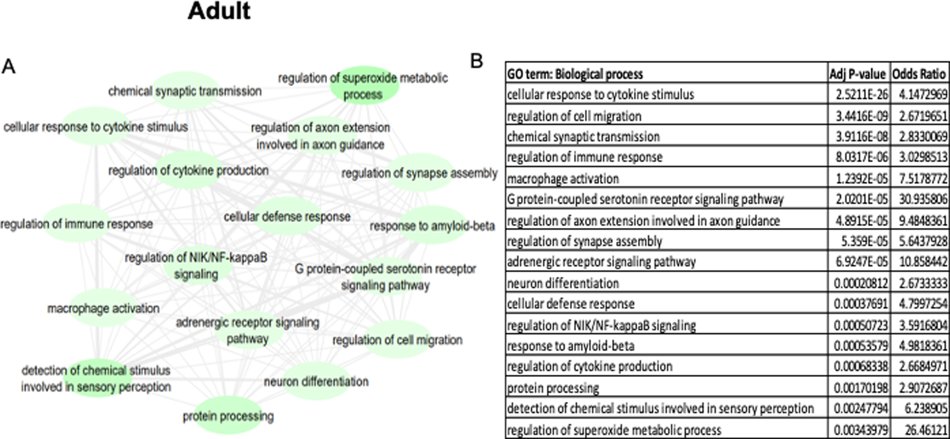 Figure 5.