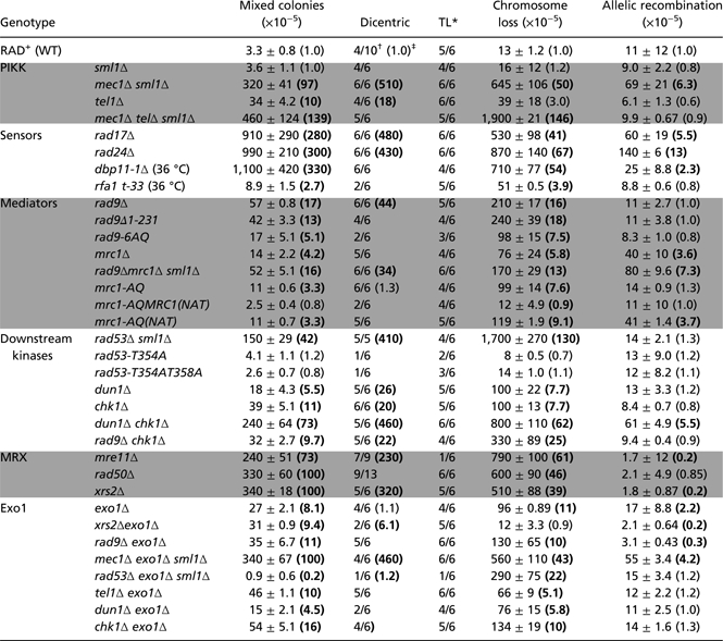 graphic file with name pnas.1001938107t01.jpg