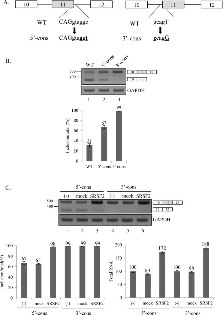 Figure 5