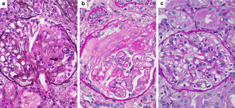 Figure 1