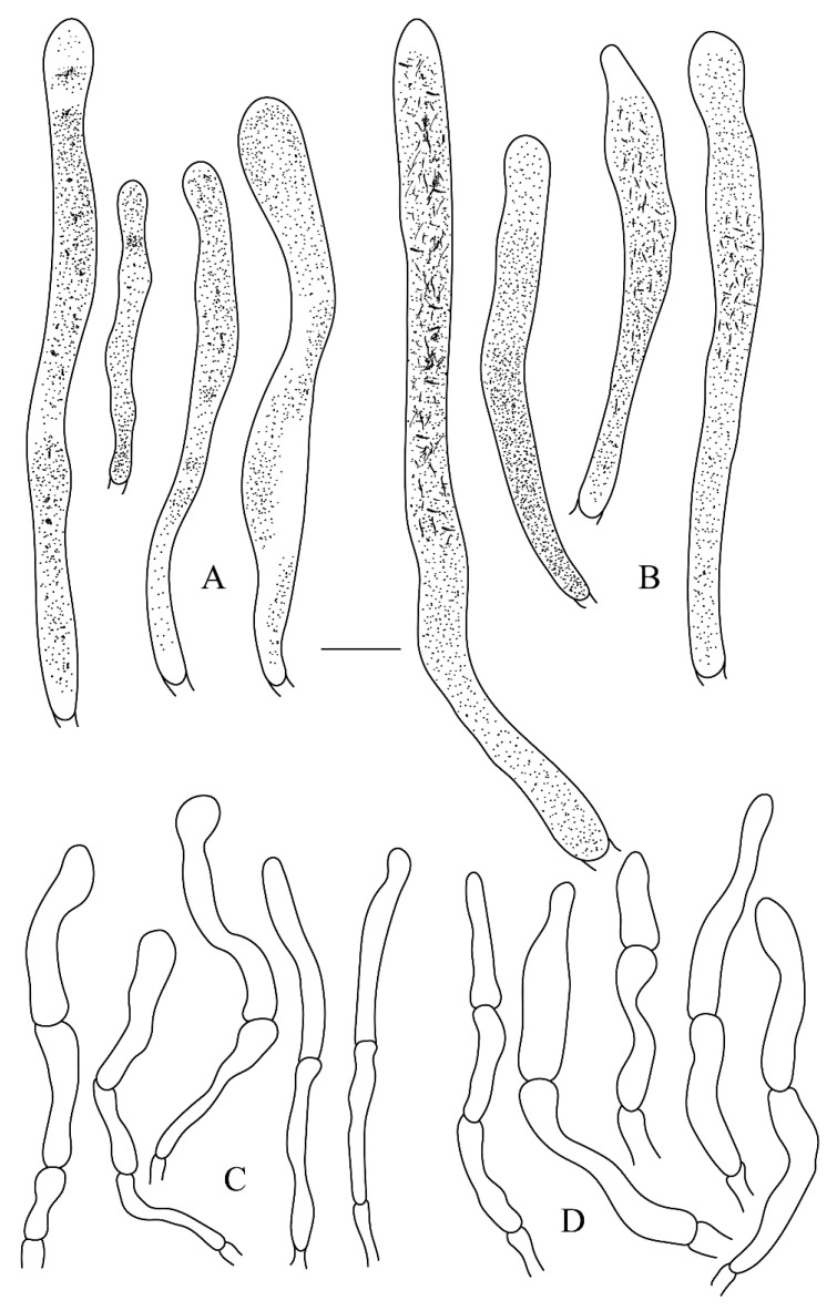 Figure 10