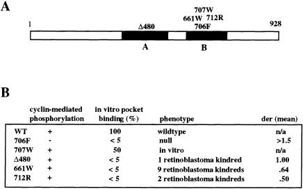 Figure  2