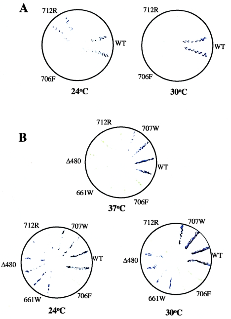 Figure  3