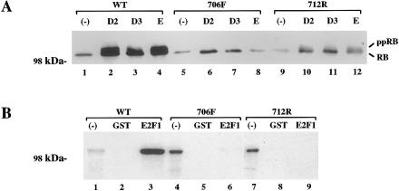 Figure  1