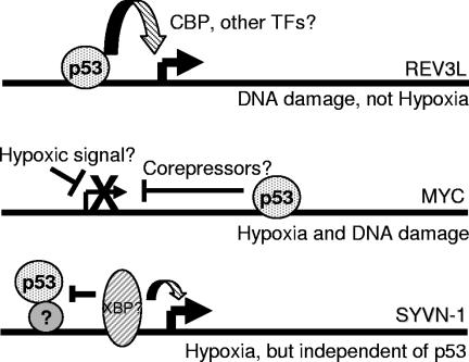 FIG. 8.