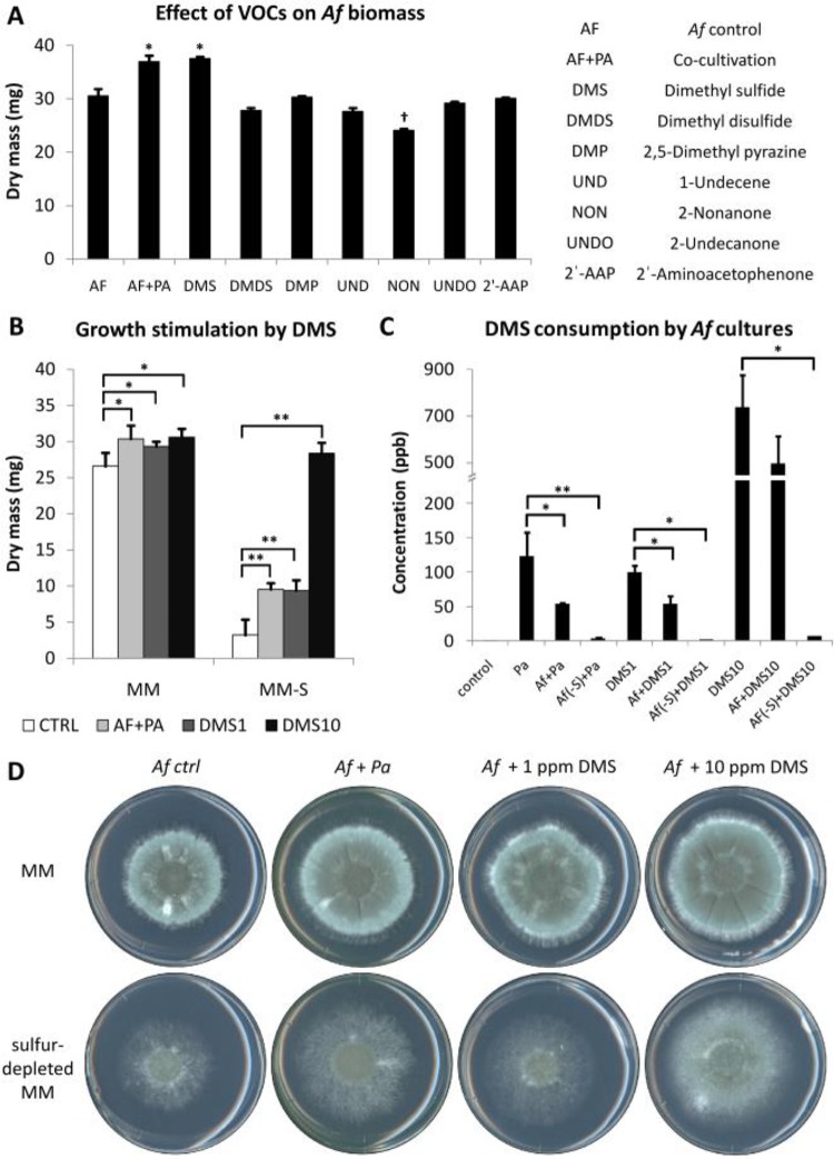 FIG 2 