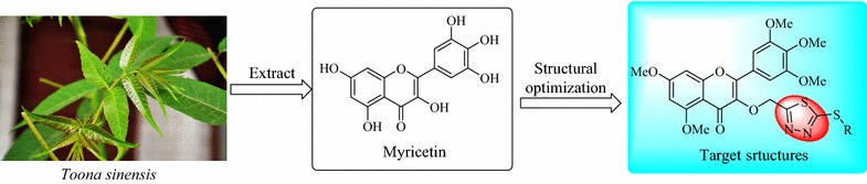 Fig. 1